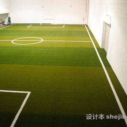 足球場裝修效果圖 設計本