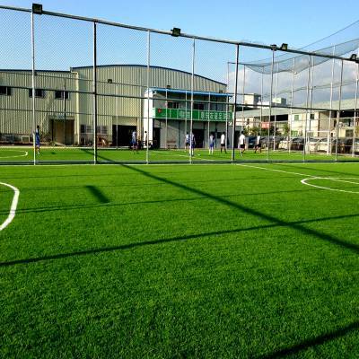 安徽池州人造草皮 學(xué)校足球場專用人工草坪鋪裝 50mm人造草 人造草坪安裝