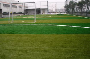 足球用品價(jià)格 石家莊足球場人造草皮廠家室內(nèi)足球館安裝工程包含批發(fā)價(jià)格 石家莊市