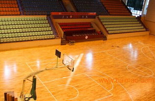 籃球木地板 實木運動地板 籃球館木地板生產(chǎn)廠家,籃球木地板 實木運動地板 籃球館木地板生產(chǎn)廠家生產(chǎn)廠家,籃球木地板 實木運動地板 籃球館木地板生產(chǎn)廠家價格