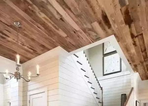 地板巧做吊頂 體育場館的驚艷天花板革命